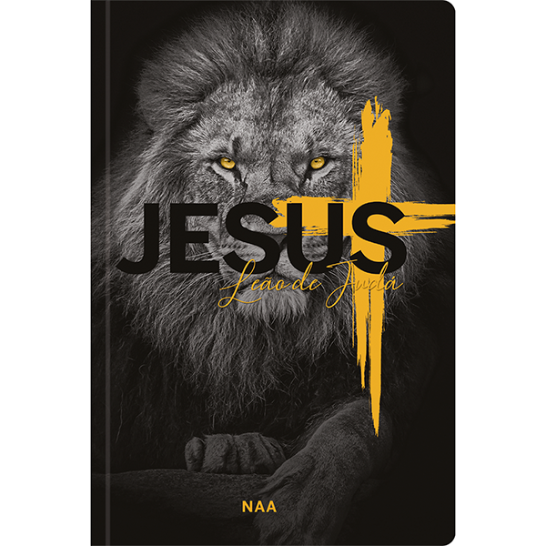 15313811100-zs669-flat-biblia-jovem-leaojuda-sbb.png